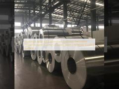 アルミニウム合金 5005 アルミニウム コイル ドック装飾保護パネル (1.2 mm | カスタム幅 | ポリエステルコーティング表面)