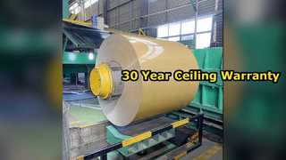 耐久性のあるアルミニウム天井シート 30 年保証