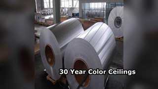 耐久性のあるアルミニウム天井シート 30 年色