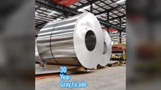 30 年グレー アルミニウム カーテンウォール パネル